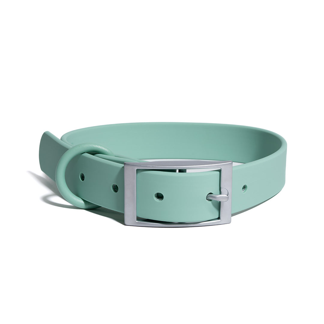 Dog Collars