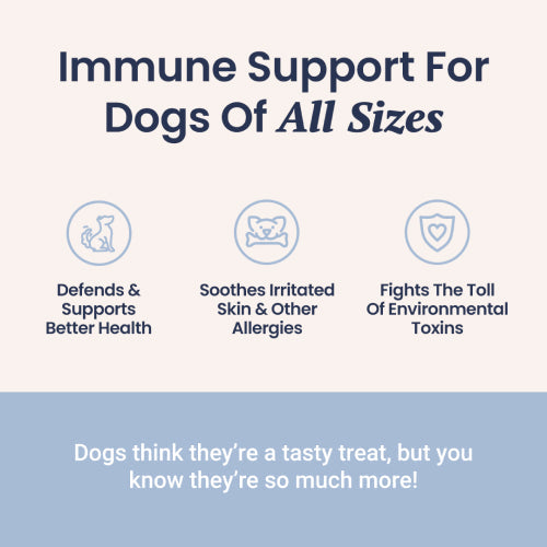 Immune Support + Functional Mushroom Soft Chews for Dogs