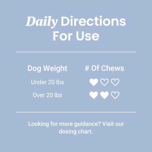 Probiotic Chews For Dogs