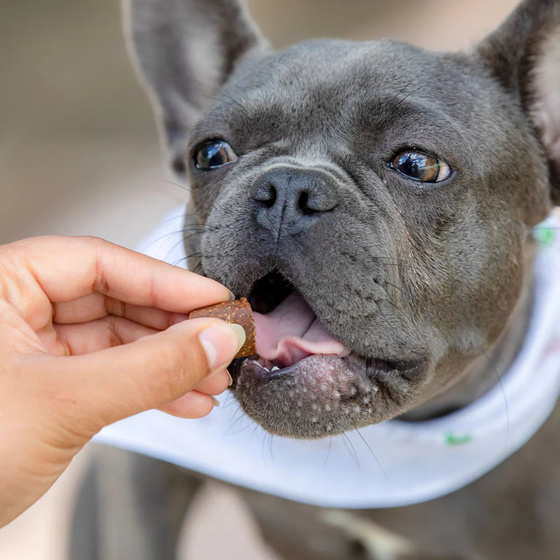 Hemp Mobility Chews for Dogs