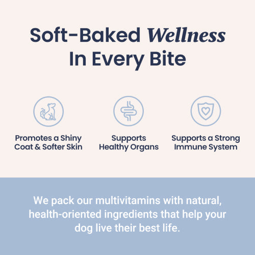 Multivitamin Soft Chews For Dogs