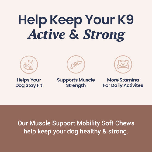 Muscle Support Soft Chews for Dogs