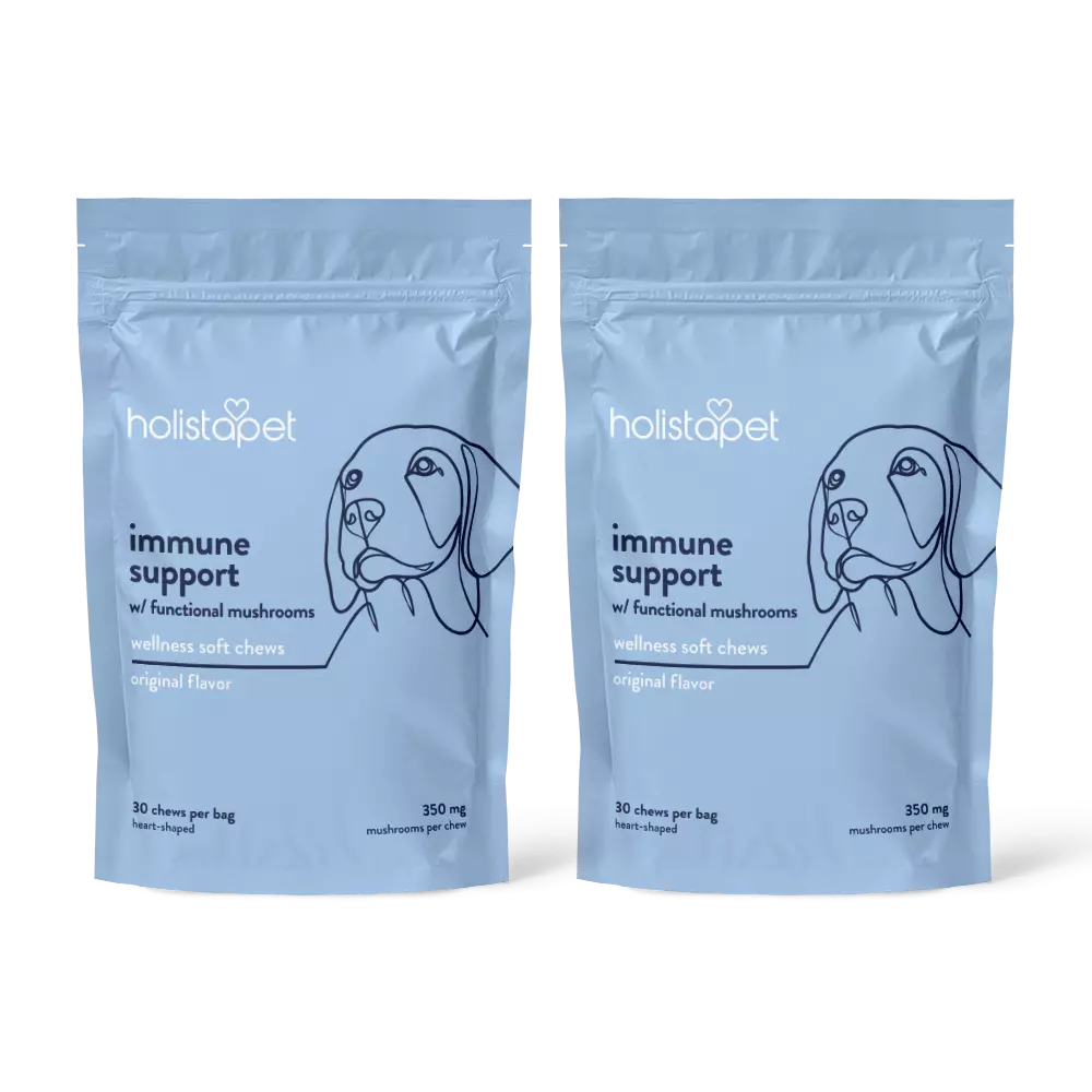 Immune Support + Functional Mushroom Soft Chews for Dogs